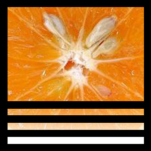 affaire-pepins-d-orange