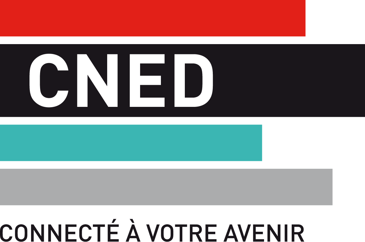 Toulouse : Le directeur du CNED de la ville rose en garde à vue pour